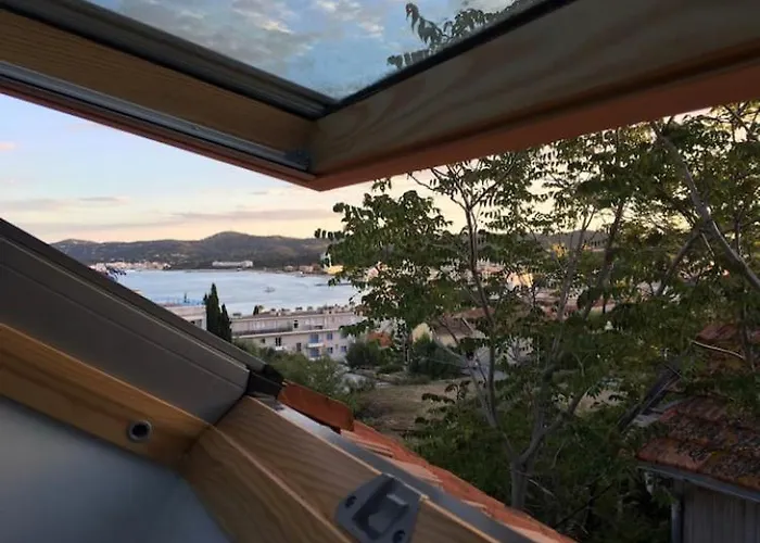 Les Mimosas * לה לבאנדו