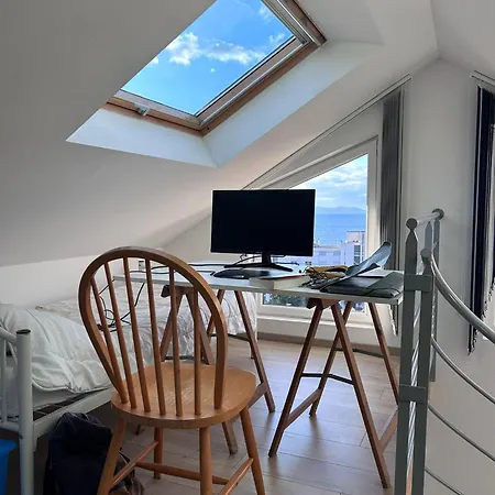 Chalet Les Mimosas *